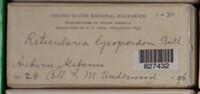 Image Associated With the Occurence